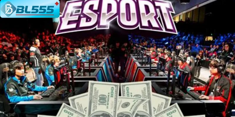 Kinh Nghiệm Cá Cược Esports BL555 - Thắng Lớn 2025 Quản lý vốn thông minh - kinh nghiệm cá cược esports sống còn